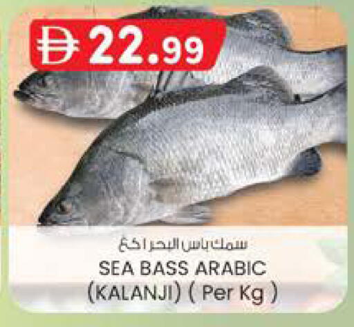 available at ك. الم. للتجارة in الإمارات العربية المتحدة , الامارات - ٱلْفُجَيْرَة‎