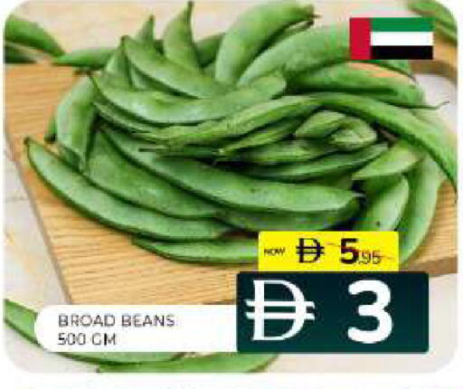 available at Al Madina  in UAE - Sharjah / Ajman