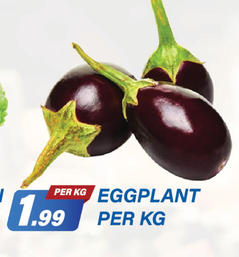 Eggplant available at Dream Land in UAE - Dubai