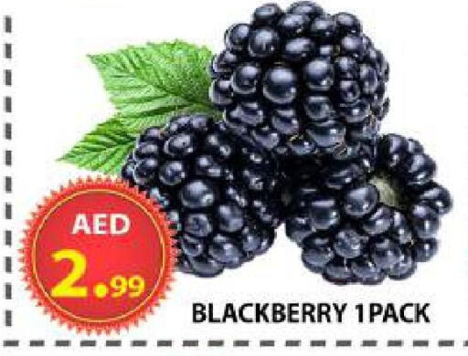 Blackberry available at AL WAHDA DISCOUNTS CENTRE in UAE - Sharjah / Ajman