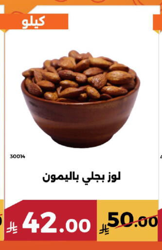 available at Forat Garden in KSA, Saudi Arabia, Saudi - Mecca