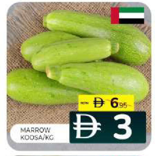 Marrow available at Al Madina  in UAE - Sharjah / Ajman