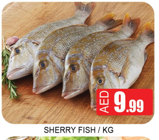 available at Lucky Center in UAE - Sharjah / Ajman