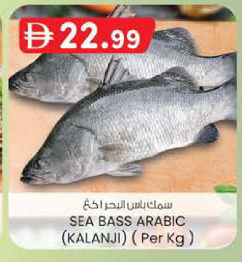 available at الصفا in الإمارات العربية المتحدة , الامارات - ٱلْعَيْن‎