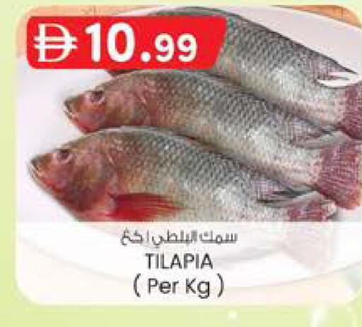 available at ك. الم. للتجارة in الإمارات العربية المتحدة , الامارات - دبي