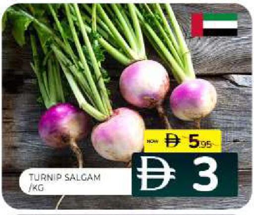 Turnip available at Al Madina  in UAE - Sharjah / Ajman