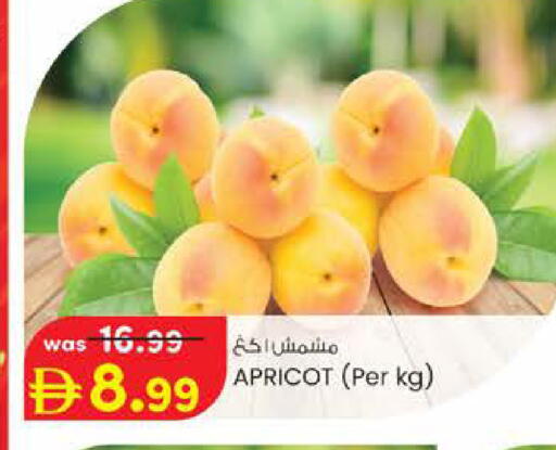 Apricot available at Safa Express Supermarket in UAE - Abu Dhabi