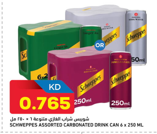 Pomegranate Ginger available at Oncost in Kuwait - Ahmadi Governorate