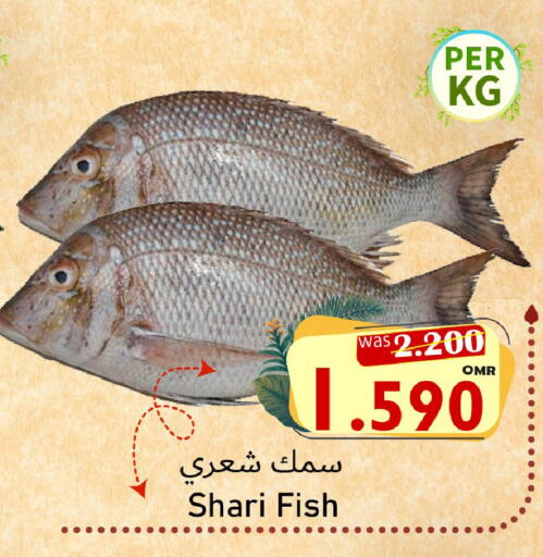 available at Al Qoot Hypermarket in Oman - Muscat