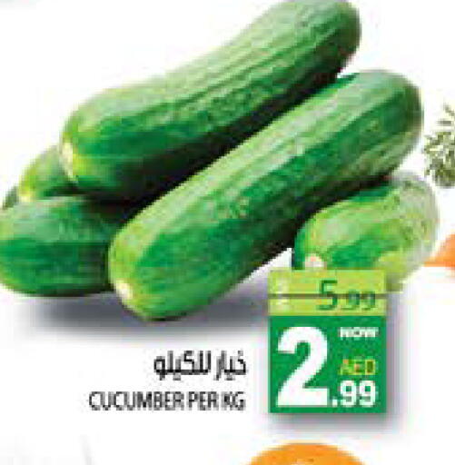 Cucumber available at هاشم هايبرماركت in الإمارات العربية المتحدة , الامارات - الشارقة / عجمان