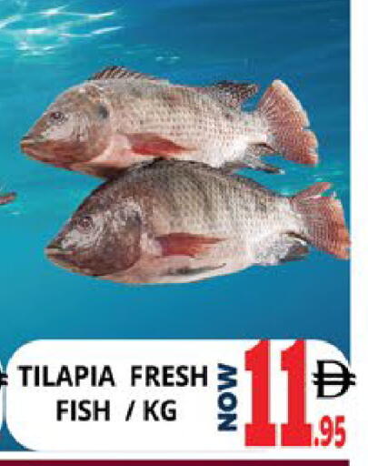 available at EXPRESS AL MADEENA HYPERMARKET LLC in UAE - Abu Dhabi