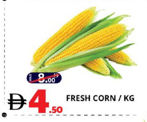 available at EXPRESS AL MADEENA HYPERMARKET LLC in UAE - Abu Dhabi