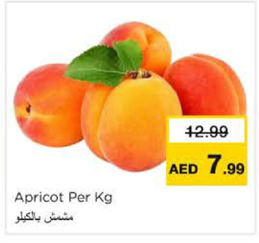 Apricot available at نستو هايبرماركت in الإمارات العربية المتحدة , الامارات - رَأْس ٱلْخَيْمَة