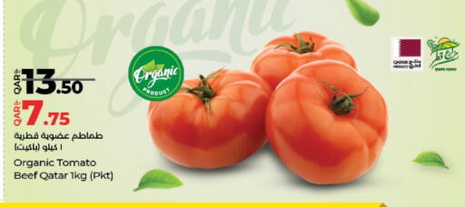 Tomato from Qatar available at LuLu Hypermarket in Qatar - Umm Salal