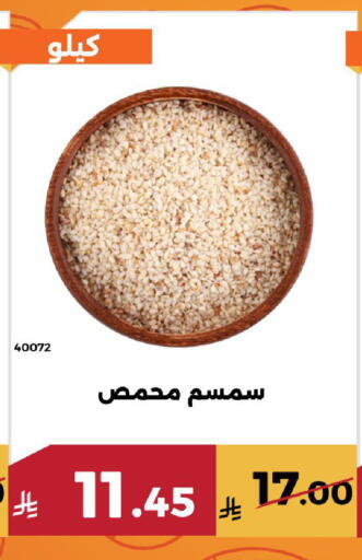 available at Forat Garden in KSA, Saudi Arabia, Saudi - Mecca