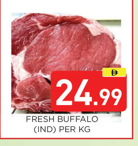 available at عين المدينة هايبرماركت in الإمارات العربية المتحدة , الامارات - الشارقة / عجمان