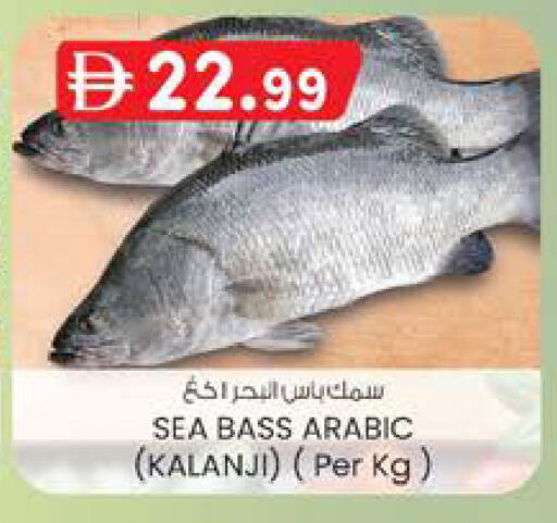 available at K M Trading  in UAE - Sharjah / Ajman