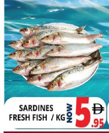 available at EXPRESS AL MADEENA HYPERMARKET LLC in UAE - Abu Dhabi