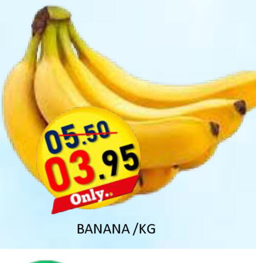Banana available at رويال جلف هايبرماركت in الإمارات العربية المتحدة , الامارات - أبو ظبي