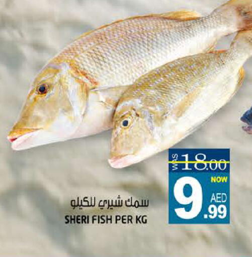 available at Hashim Hypermarket in UAE - Sharjah / Ajman