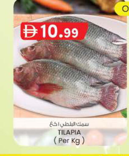 available at صفا اكسبريس سوبرماركت in الإمارات العربية المتحدة , الامارات - أبو ظبي