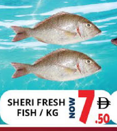 available at EXPRESS AL MADEENA HYPERMARKET LLC in UAE - Abu Dhabi