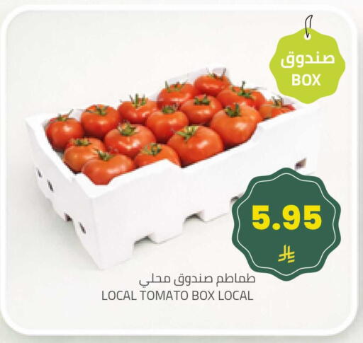 Tomato available at Astra Markets in KSA, Saudi Arabia, Saudi - Tabuk