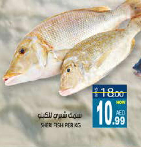 available at Hashim Hypermarket in UAE - Sharjah / Ajman