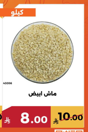 available at Forat Garden in KSA, Saudi Arabia, Saudi - Mecca