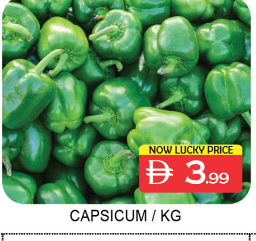Capsicum available at Lucky Center in UAE - Sharjah / Ajman