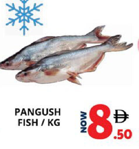 available at EXPRESS AL MADEENA HYPERMARKET LLC in UAE - Abu Dhabi