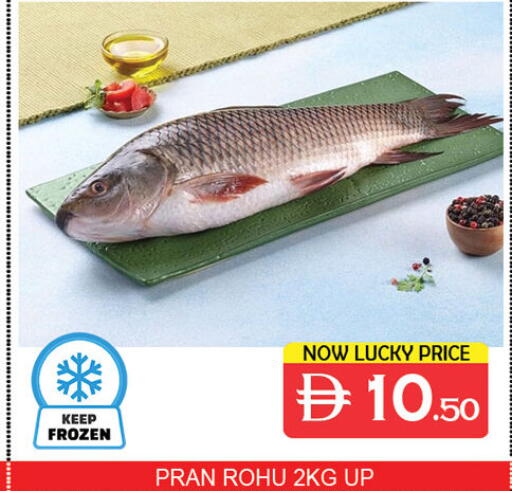 available at Lucky Center in UAE - Sharjah / Ajman