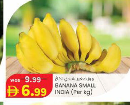 Banana from India available at ك. الم. للتجارة in الإمارات العربية المتحدة , الامارات - دبي
