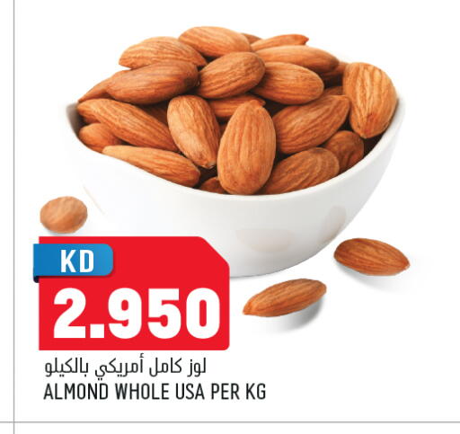 available at Oncost in Kuwait - Jahra Governorate