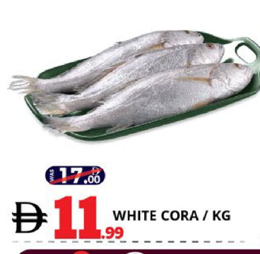 available at EXPRESS AL MADEENA HYPERMARKET LLC in UAE - Abu Dhabi