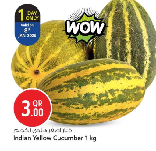 Cucumber from India available at سفاري هايبر ماركت in قطر - الشحانية