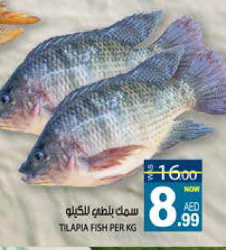 available at Hashim Hypermarket in UAE - Sharjah / Ajman