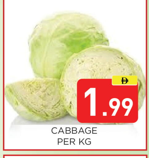 Cabbage available at عين المدينة هايبرماركت in الإمارات العربية المتحدة , الامارات - الشارقة / عجمان