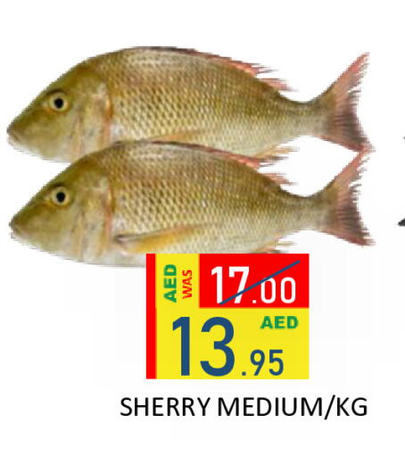 available at رويال جلف هايبرماركت in الإمارات العربية المتحدة , الامارات - أبو ظبي