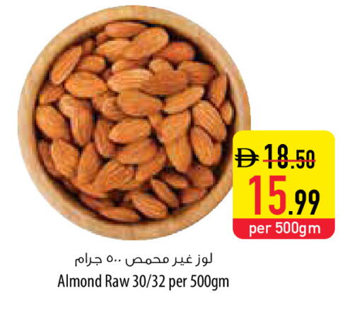 available at Safeer Market in UAE - Umm al Quwain