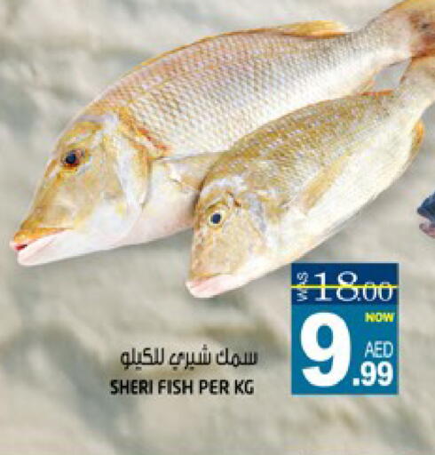 available at Hashim Hypermarket in UAE - Sharjah / Ajman