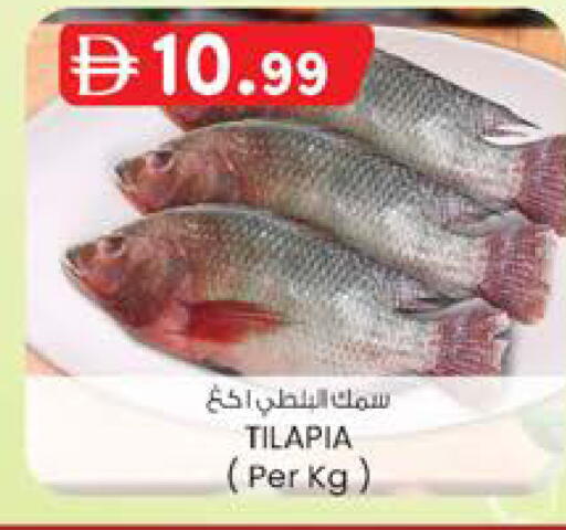 available at ك. إم. هايبرماركت in الإمارات العربية المتحدة , الامارات - ٱلْعَيْن‎