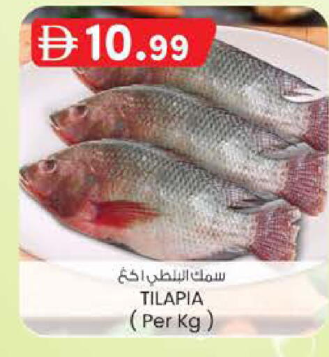 available at الصفا in الإمارات العربية المتحدة , الامارات - ٱلْعَيْن‎