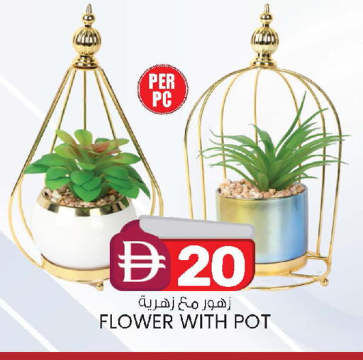 available at ك. الم. للتجارة in الإمارات العربية المتحدة , الامارات - الشارقة / عجمان