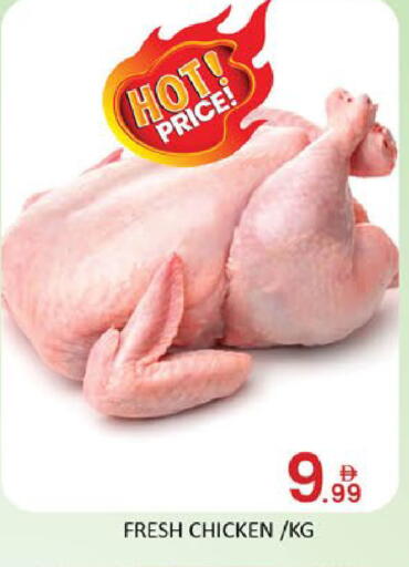 Mango available at مانجو هايبرماركت in الإمارات العربية المتحدة , الامارات - دبي