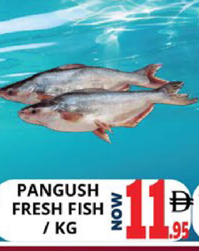 available at EXPRESS AL MADEENA HYPERMARKET LLC in UAE - Abu Dhabi