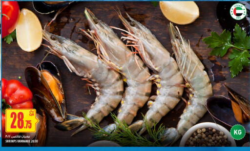 available at شركة الميرة للمواد الاستهلاكية in قطر - الخور