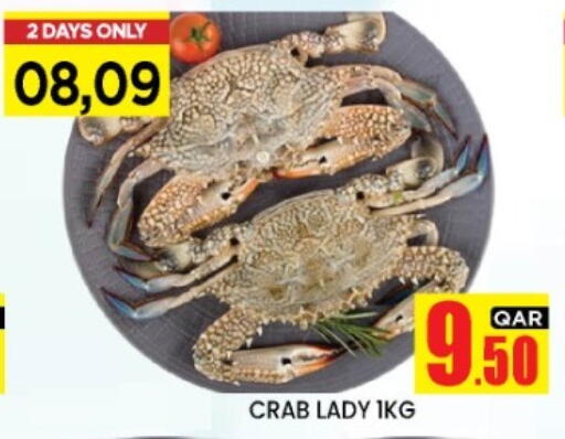 available at New Stop n Shop @Fereej Bin Omran in Qatar - Al Wakra