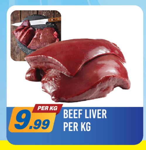 available at دريم لاند in الإمارات العربية المتحدة , الامارات - دبي