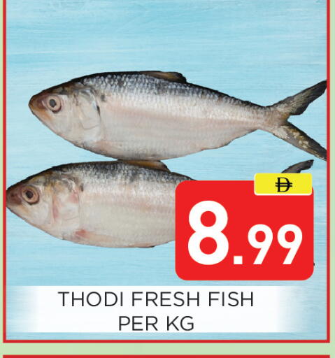 available at عين المدينة هايبرماركت in الإمارات العربية المتحدة , الامارات - الشارقة / عجمان